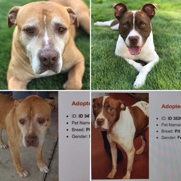 Hey, I’m Lianne! Thanks for stopping in! - Picture 13 of 16